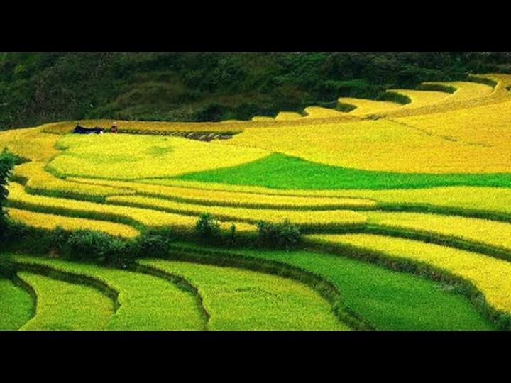 Hotspot Matrix: Biến 3 kiểu giày