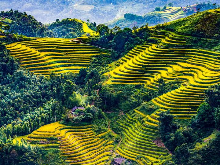 Hotspot Matrix: Cánh cửa vàng cho Nghệ sĩ Đường phố