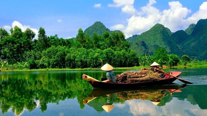 Xu hướng Loài cá kỳ lạ nhất châu Phi:: Hotspot Matrix tiết lộ bí quyết video viral