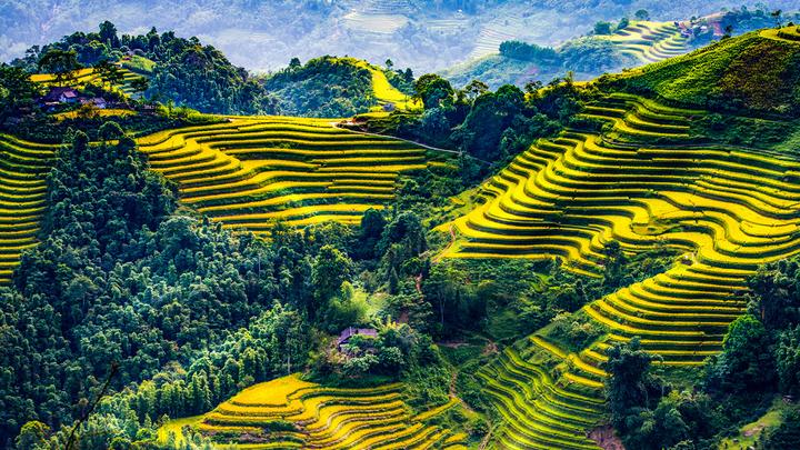 Các thay đổi thai kỳ của Li Wei và giải pháp của Hotspot Matrix