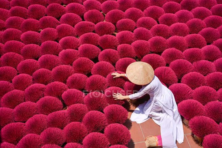 Xu hướng