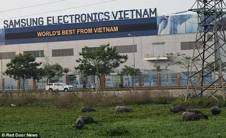 Xu hướng HOT: Trấn Thành chính thức: Hotspot Matrix tiết lộ bí quyết video viral